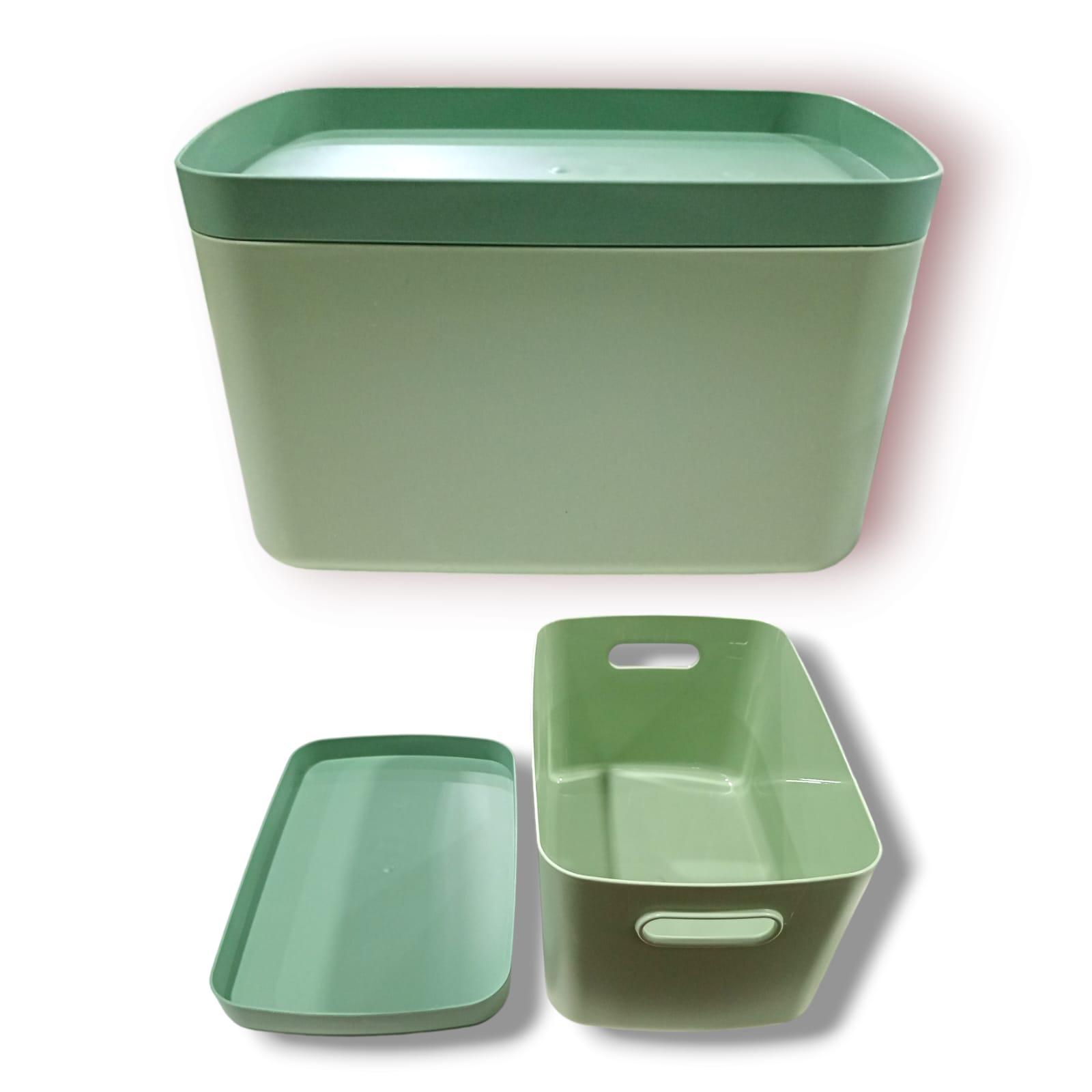 CAJA ORGANIZADORA CON TAPA - PLASTICO- 4LTS- 24X16X14CM