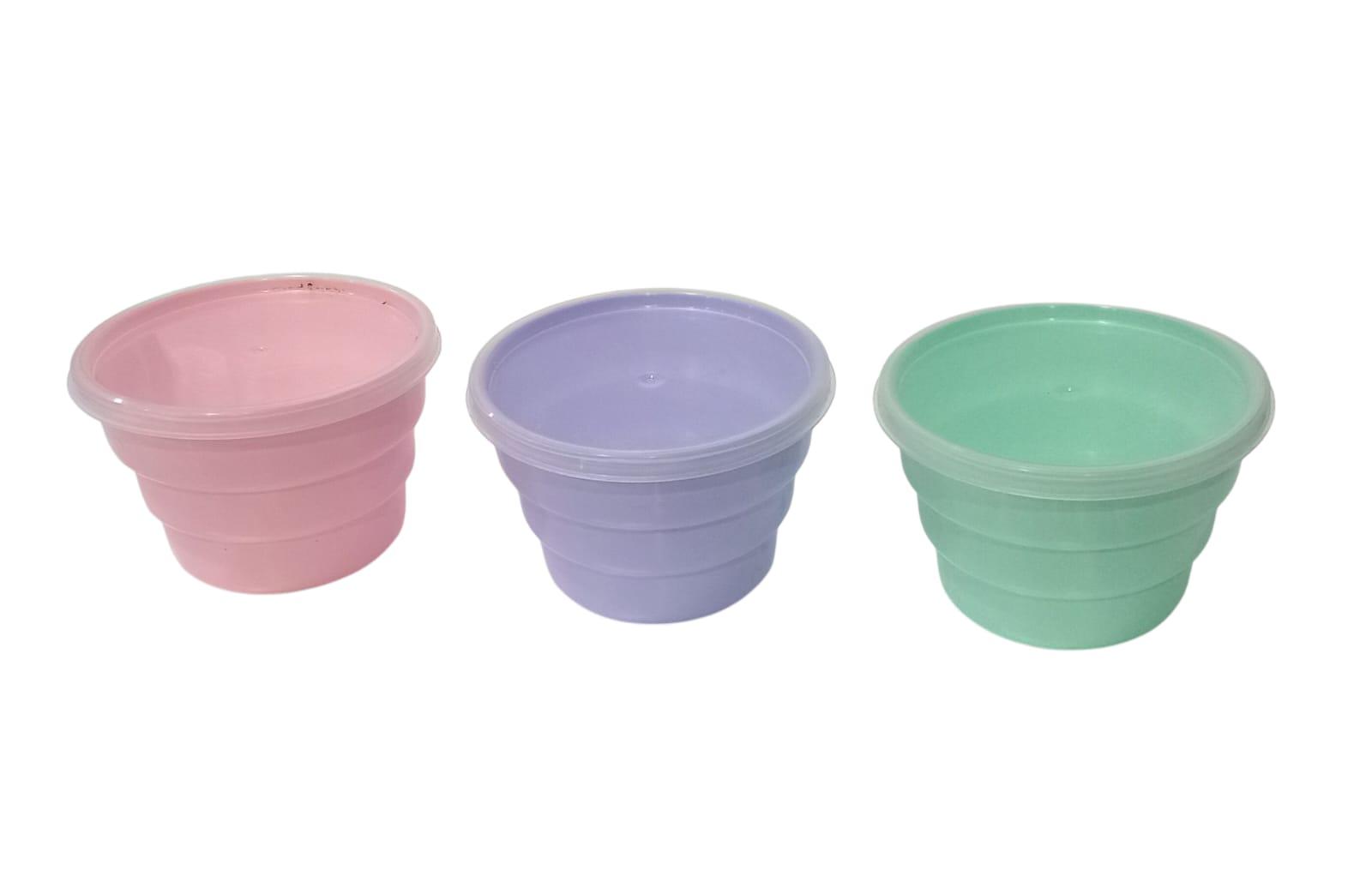 TUPPER CONTENEDOR FLANERA PLASTICA CON TAPA
